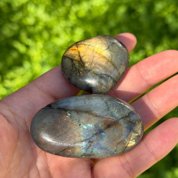 S - Picture 10 of 10